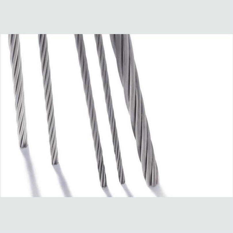 Câble métallique en acier inox - Stainless Wire Ss316 avis et prix